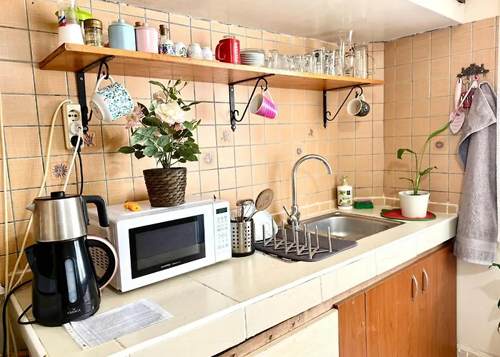 Merkez Kaleıçı Muhteşem Otantık Daire *