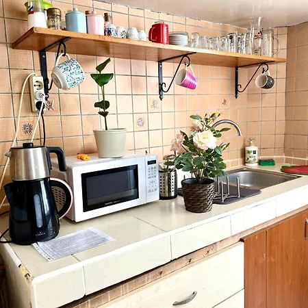 Merkez Kaleici Muhtesem Otantik Apartment *