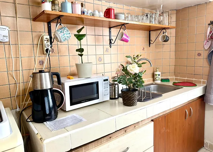 Merkez Kaleici Muhtesem Otantik Apartment *