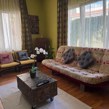 Merkez Kaleıçı Muhteşem Otantık Daire