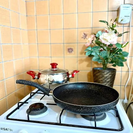 Merkez Kaleici Muhtesem Otantik Lägenhet *