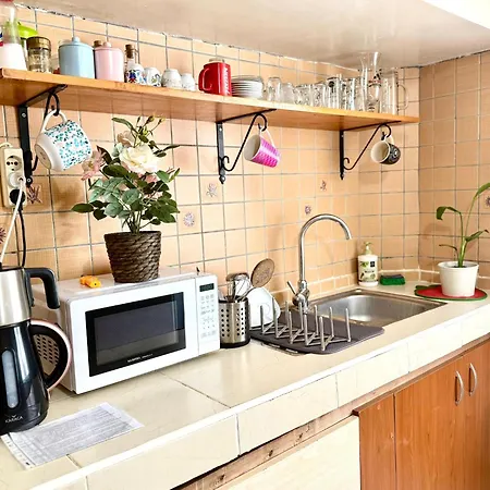 Merkez Kaleici Muhtesem Otantik Lägenhet *