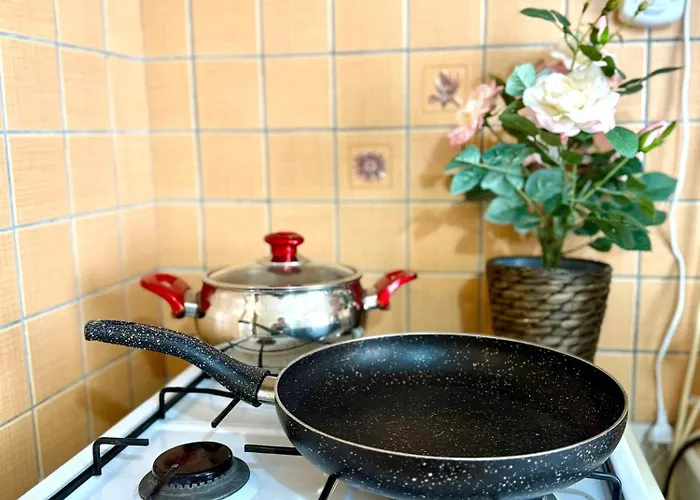 Merkez Kaleici Muhtesem Otantik Апартаменты *